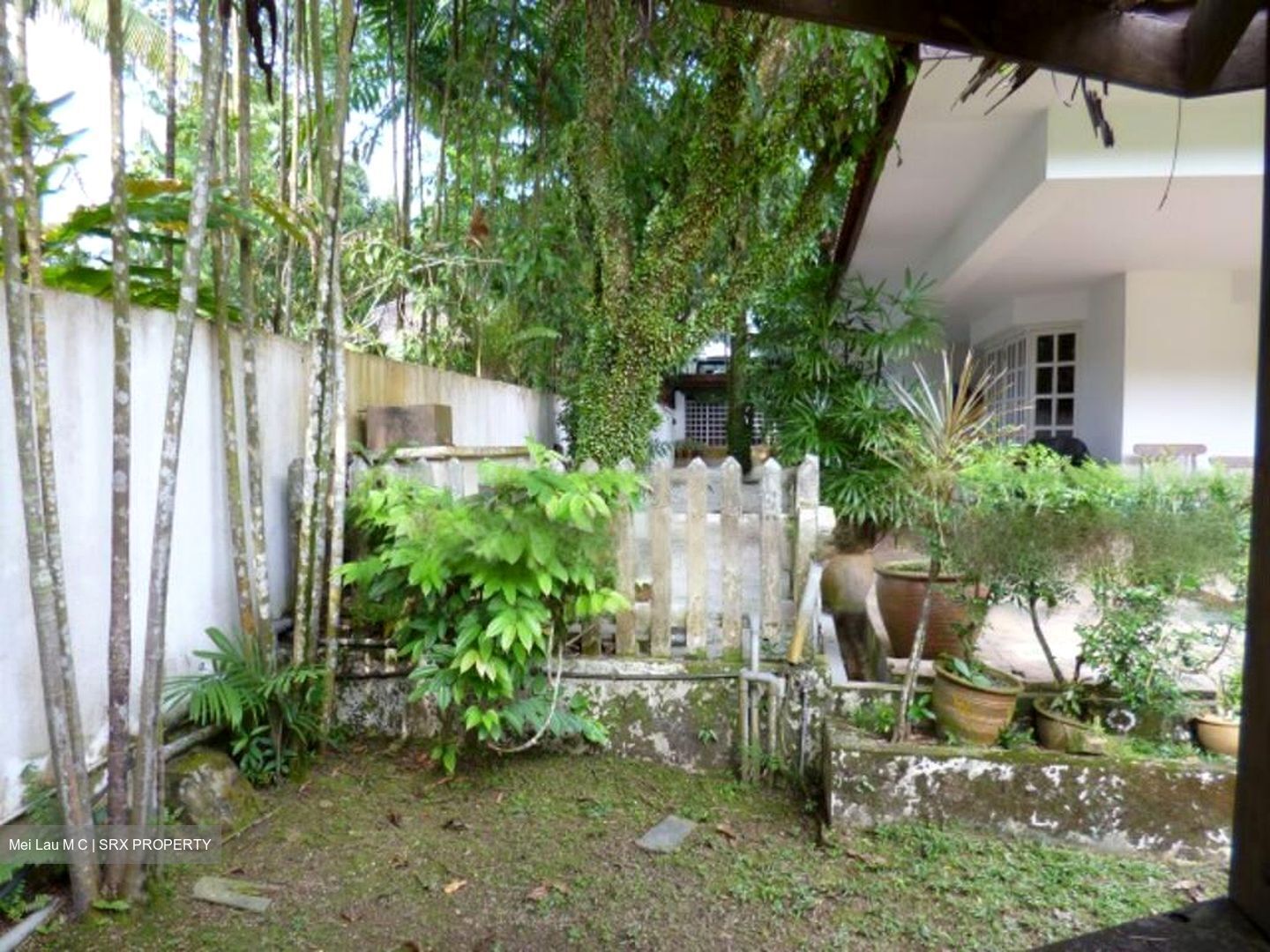 Bukit Timah Road (D21), Detached #486077141